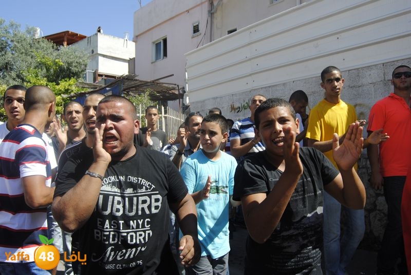 7saona 3ares lud 615 (35).JPG